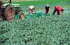 Συμφωνία με την Αίγυπτο για εργάτες γης