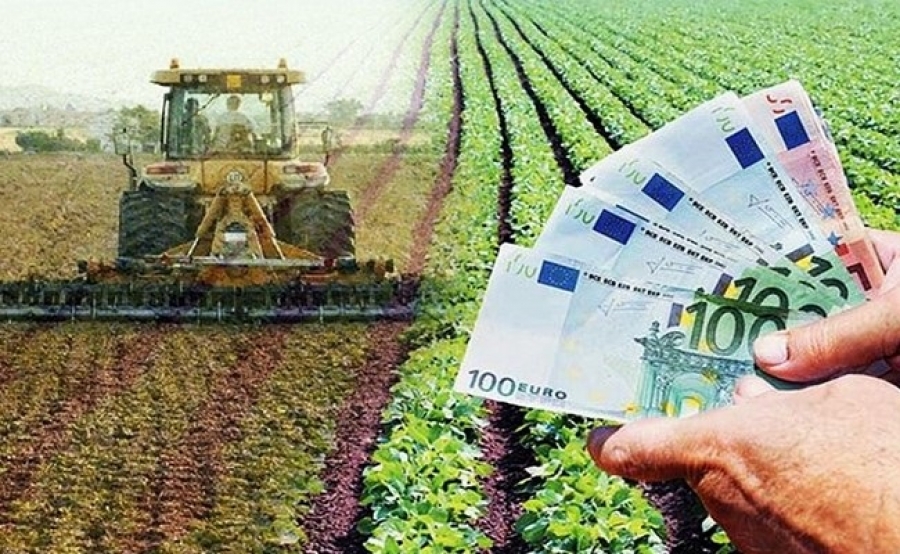 Ειδική Ενίσχυση στους καλλιεργητές της πατάτας