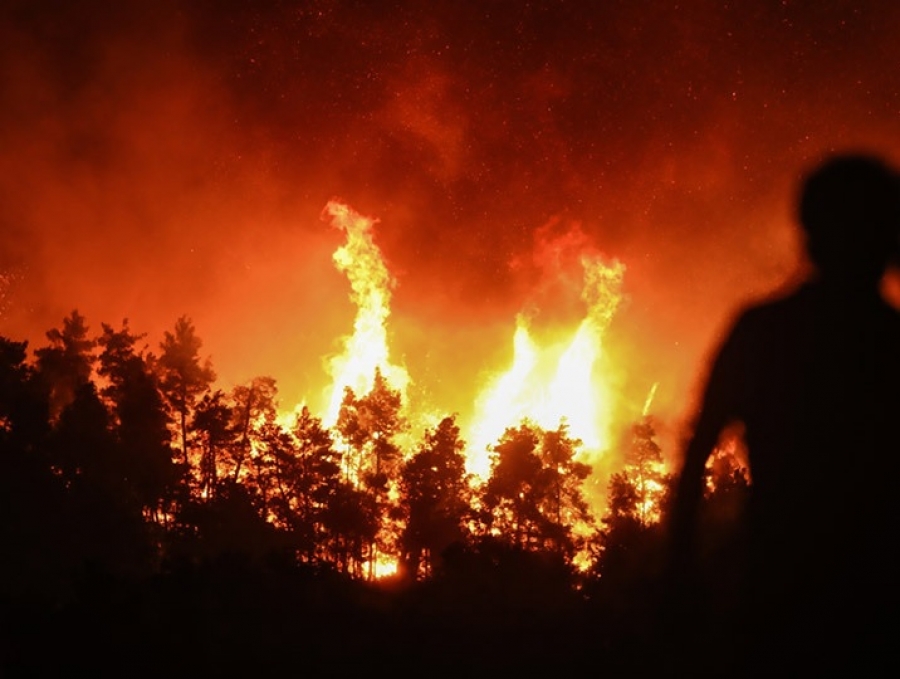 Προσφορά ζωοτροφών από τον Αγροτικό Κτηνοτροφικό Συνεταιρισμό Αρκαδίας «Η ΕΝΩΣΗ» σε πυρόπληκτους κτηνοτρόφους του Δήμου Γορτυνίας.