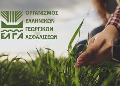 Ζημιές από παγετό σε καλλιέργειες της Μαντινείας και της Τεγέας Αρκαδίας