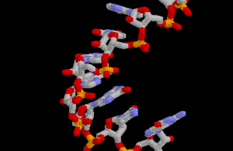 Εμβόλια RNA